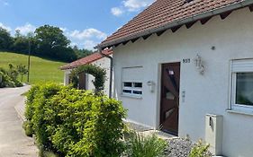 Apartment Schendel